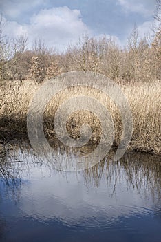 A pond`s reflection of the sky