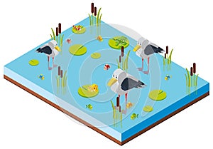 Pond scene with birds in 3D design