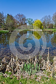 Pond Scenic
