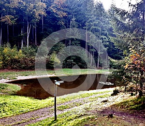 Pond Schwanenweiher near Homburg, Saarland