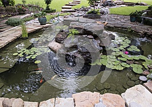 Pond with small waterfall, water lilies, and fish