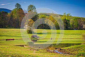 Pond and spring color in the rural Shenandoah Valley of Virginia