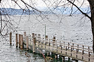 Pond on Starnberg Lake, Bayern