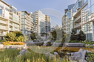 pond with stones, trees and bushes surrounded by new, modern high-rise residential buildings