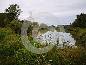 Pond surrounded by trees in the countryside on an autumn day