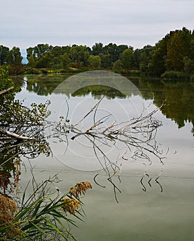 Pond surrounded by trees in the countryside on an autumn day