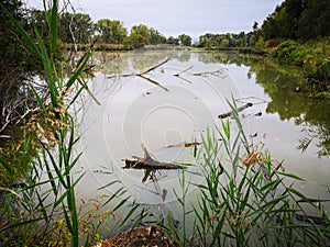 Pond surrounded by trees in the countryside on an autumn day