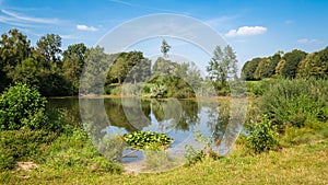 Pond surrounded by trees near Ootmarsum Twente, Overijssel, The Netherlands