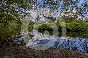 Pond surrounded by wild grass, trees and green vegetation with a mirror reflection in the water photo