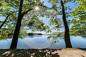 Pond Svet in Trebon photo