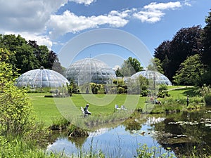 Pond or Teich and Tropenhaus - Botanical Garden of the University of Zurich or Botanischer Garten der Universitaet Zuerich photo