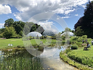 Pond or Teich and Tropenhaus - Botanical Garden of the University of Zurich or Botanischer Garten der Universitaet Zuerich