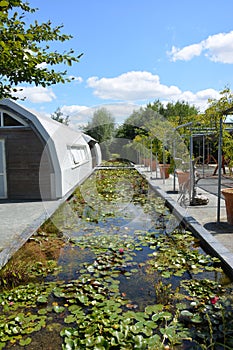 Pond at Terra Botanica