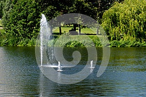 Pond there is a fountain which casts sight using a nozzle for a great height. the water will oxygenate and help the fish survive t