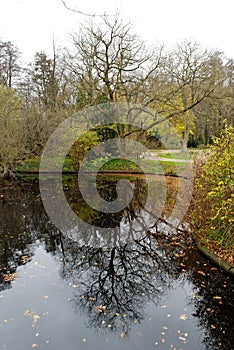 Pond at Tiergarten, Berlin photo