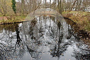 Pond at Tiergarten, Berlin photo