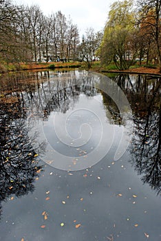 Pond at Tiergarten, Berlin photo