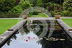 Pond, Tintinhull Garden, Somerset, England, UK