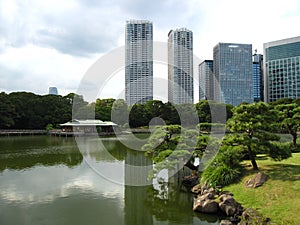 Pond in a traditional Japanese Tokyo garden