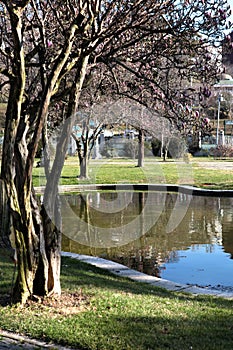 Pond and Trees in Ihlamur Summer Palace