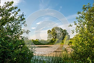 Pond and trees in the rays of the morning sun and blue sky with clouds.