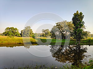 Pond in tropical forest in India