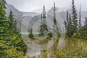 Pond at Upper Joffre Lake