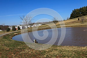 Pond in village