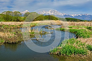 Pond in the village of Vrbov in Slovakia with Hight Tatras mountains on horizon