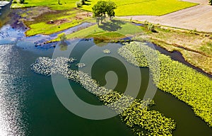 Pond with water lilies, aerial