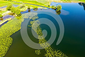 Pond with water lilies, aerial