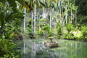 Pond with water well in Konoko Gardens, Jamaica