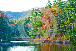 Pond in White Mountain National Forest, New Hampshire