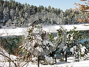 Pond in Winter