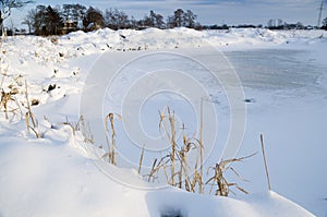 Pond in the winter day