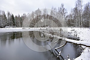 The pond, the winter forest looks like a huge Palace, where winter lives, the harsh trees, like guards, stand still, dressed