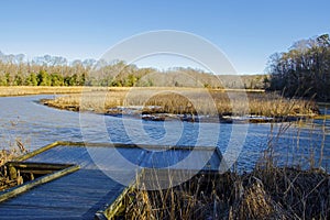 Pond in winter, King`s Landing Park Calvert County