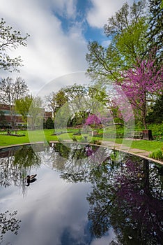Pond at the WJ Beal Botanical Garden, Michigan State University, in East Lansing, Michigan
