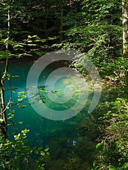 Pond in the woods, Ochiul Beiului, Caras Severin county, Romania