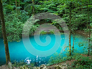 Pond in the woods, Ochiul Beiului, Caras Severin county, Romania