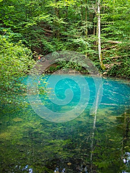 Pond in the woods, Ochiul Beiului, Caras Severin county, Romania