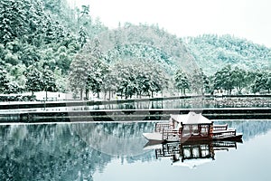 Pond in Xidi village, China