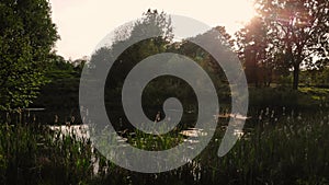 Pond in Yorkshire nature reserve at sunset