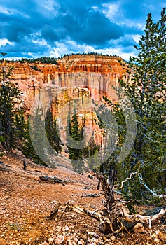 Ponderosa Canyon Bryce National Park