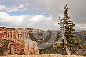 Ponderosa Canyon at Bryce Park