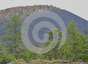 Ponderosa Pine Trees with Tephra Volcanic ash on the mountain slopes in the background. Flagstaff, Arizona photo