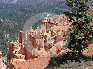 Ponderosa Point lookout, Bryce Canyon National Park