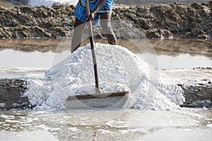 PONDICHERY, PUDUCHERRY, TAMIL NADU, INDIA - MARCH CIRCA, 2018. Close-up Unidentified man workers picking up, collecting the salt,