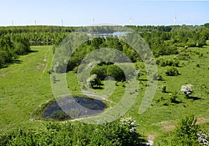 Ponds, grass and a dense forest