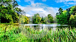 Ponds and Lakes in the Parks surrounding Castle De Haar